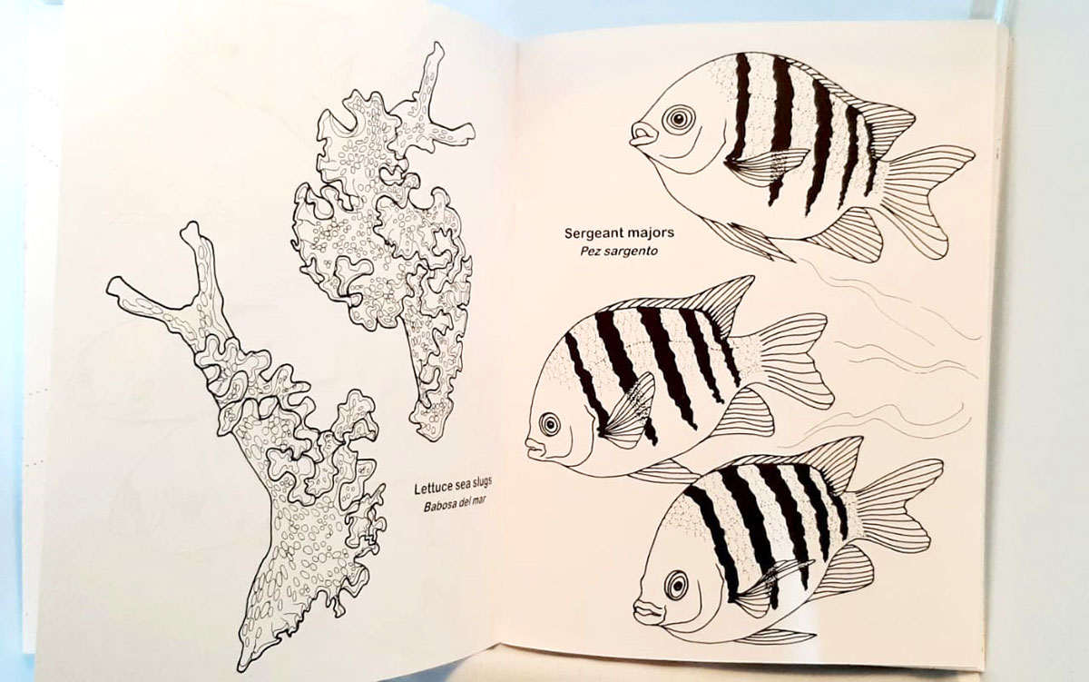 The Coral Reef Coloring Book