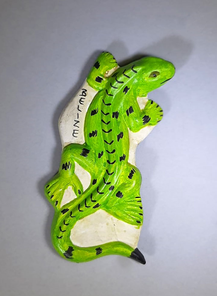 Gecko Iguana Magnet