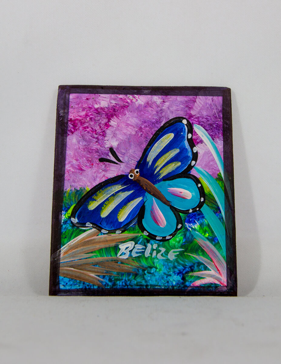magnet, butterfly, colorful, handpainted, belize, decorative