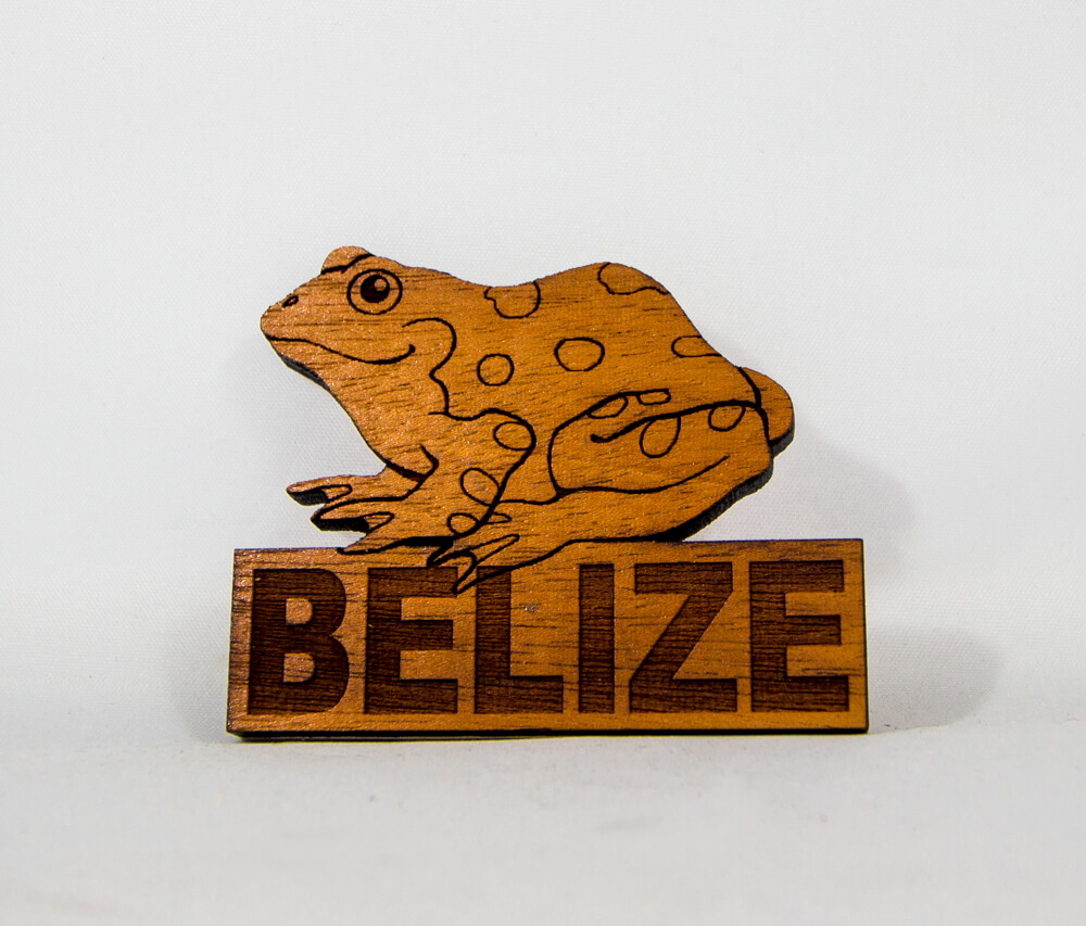 magnet, wood, frog, belize, simple
