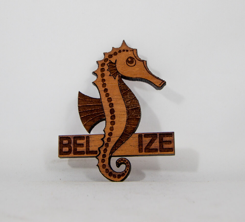 seahorse, belize, laser cut, decorative, magnet